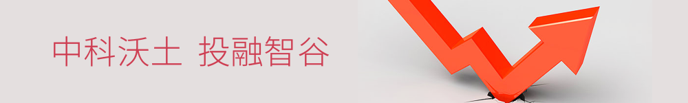 banner banner