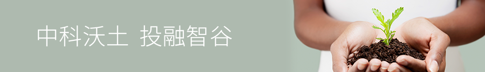 banner banner